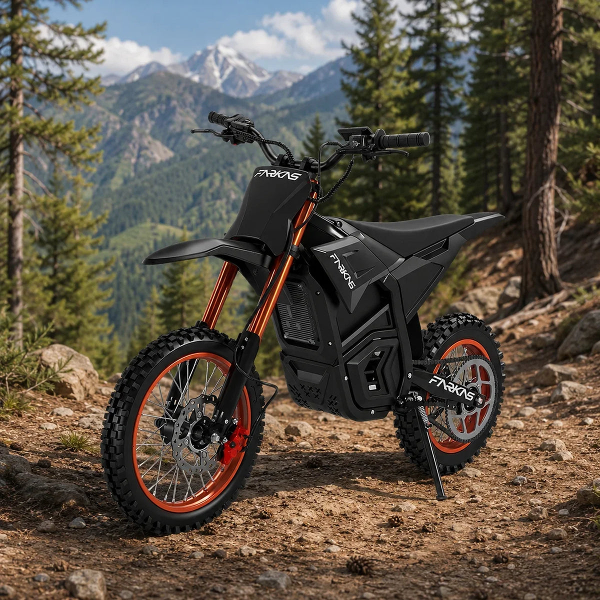 S1 E-Bike 3000W/3500W DC Motor 60V 27Ah Battery