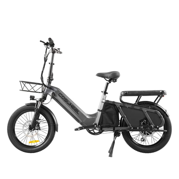 Coswheel HQ20 48V/20AH 1300W Electric All-Terrain Cargo Bike