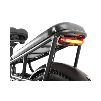 Coswheel HQ20 48V/20AH 1300W Electric All-Terrain Cargo Bike