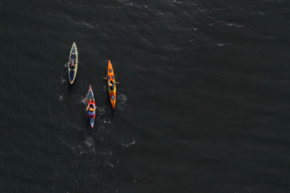 Wilderness Systems Tarpon 120 - Sit on Top Fishing Kayak - Premium Angler Kay...